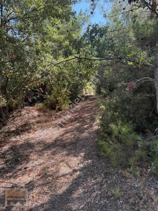 Çanakkale Lapseki Dereköy De Fırsat Arazi Tek Tapu 3.434 M2 — fotoğraf 24