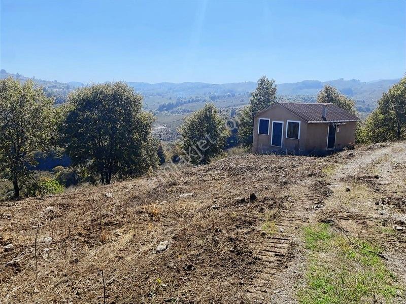 Mahalle İçerisinde Deniz Manzaralı Tarla