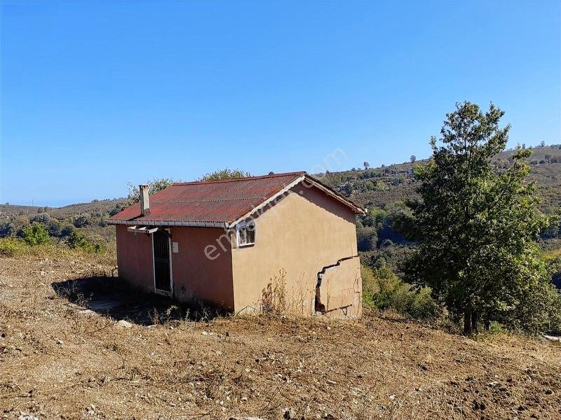 Mahalle İçerisinde Deniz Manzaralı Tarla — fotoğraf 6