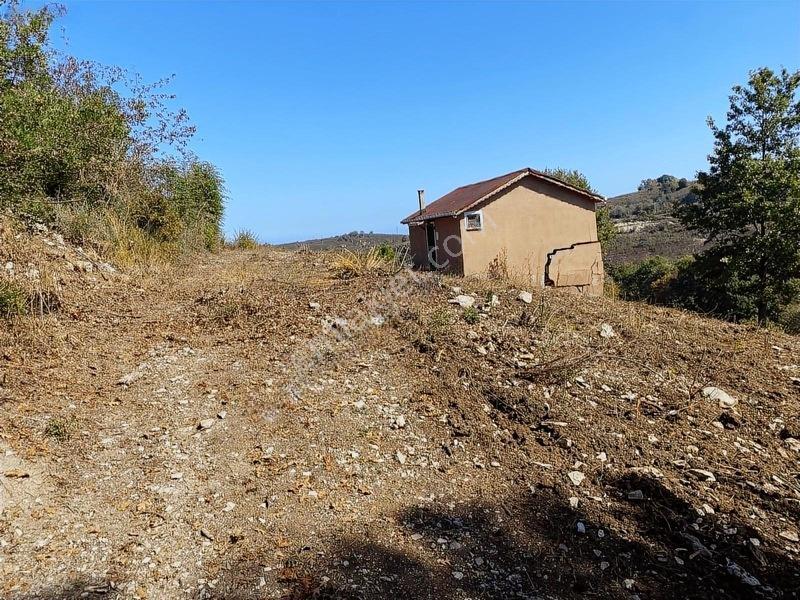 Mahalle İçerisinde Deniz Manzaralı Tarla — fotoğraf 7