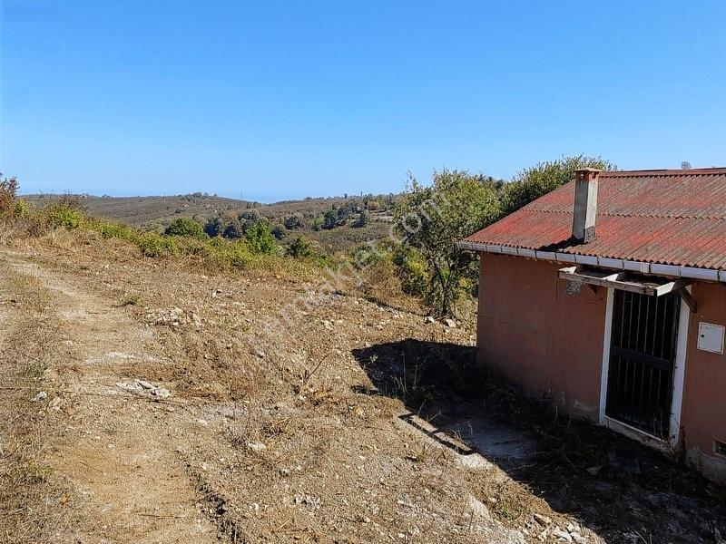 Mahalle İçerisinde Deniz Manzaralı Tarla — fotoğraf 8