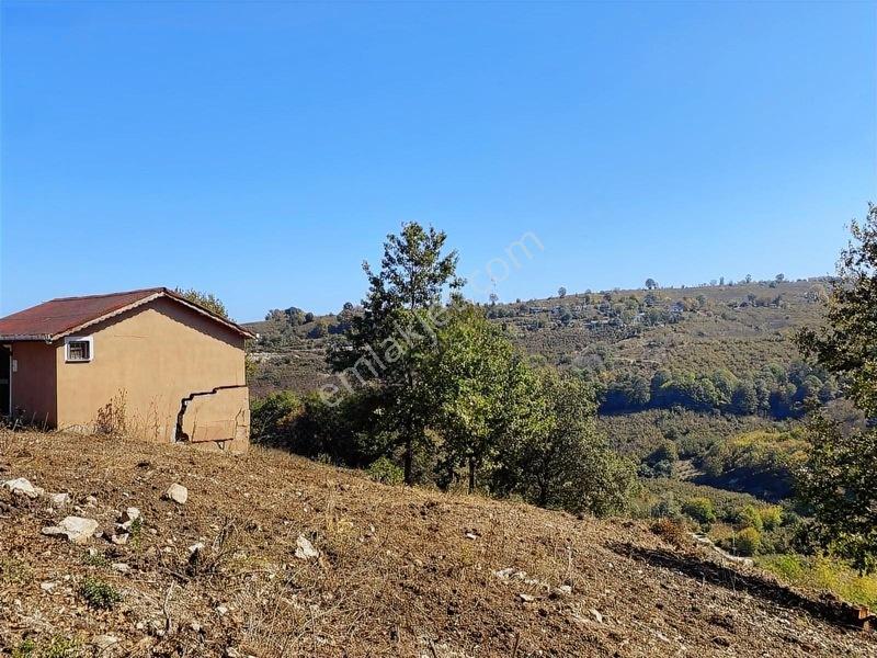 Mahalle İçerisinde Deniz Manzaralı Tarla — fotoğraf 9
