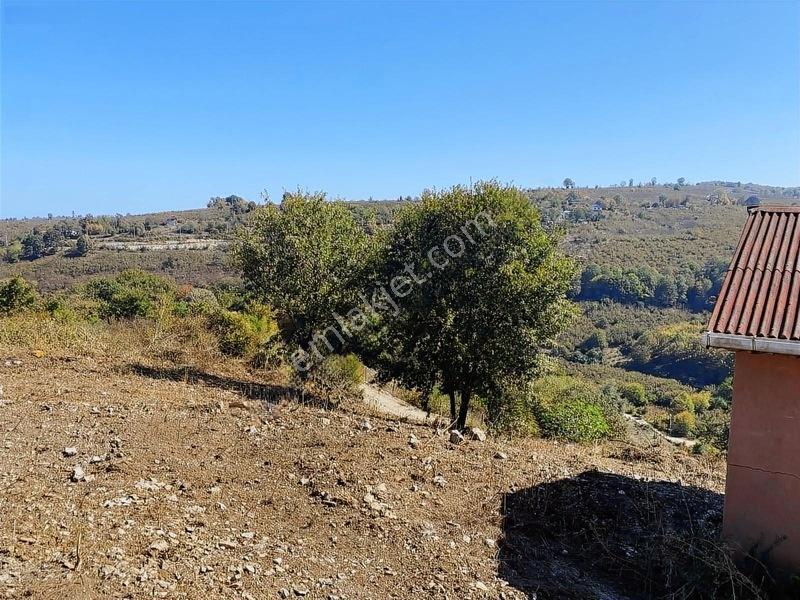 Mahalle İçerisinde Deniz Manzaralı Tarla — fotoğraf 10