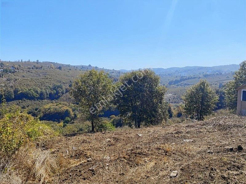 Mahalle İçerisinde Deniz Manzaralı Tarla — fotoğraf 12