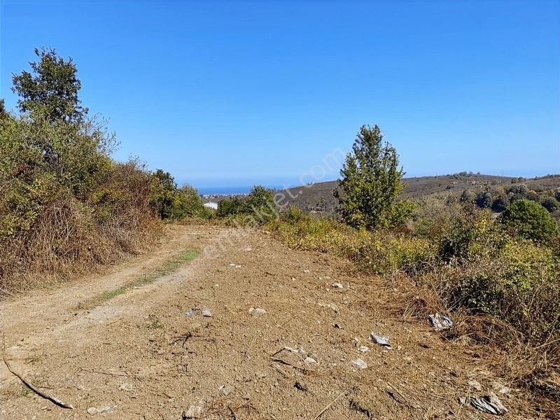Mahalle İçerisinde Deniz Manzaralı Tarla — fotoğraf 13