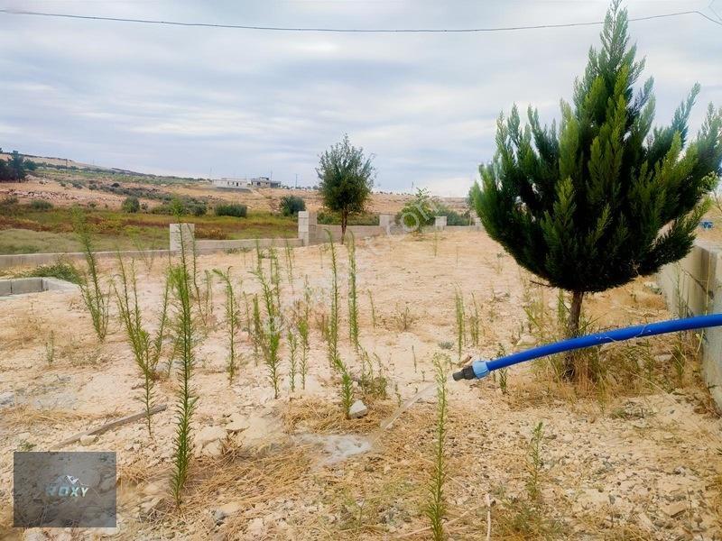Roxy Group'tan Almalı'da Asfalt Yol Üzeri 2+1 Bağ Evi Tek Tapu — fotoğraf 21