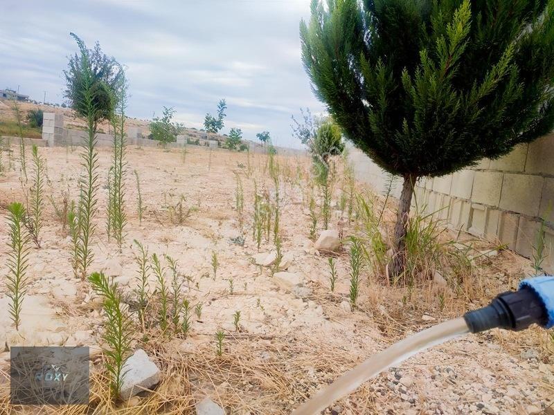 Roxy Group'tan Almalı'da Asfalt Yol Üzeri 2+1 Bağ Evi Tek Tapu — fotoğraf 22