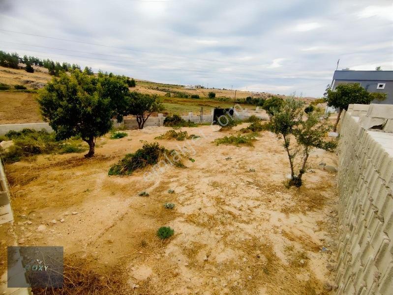 Roxy Group'tan Almalı'da Asfalt Yol Üzeri 2+1 Bağ Evi Tek Tapu — fotoğraf 24