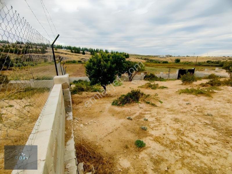 Roxy Group'tan Almalı'da Asfalt Yol Üzeri 2+1 Bağ Evi Tek Tapu — fotoğraf 25