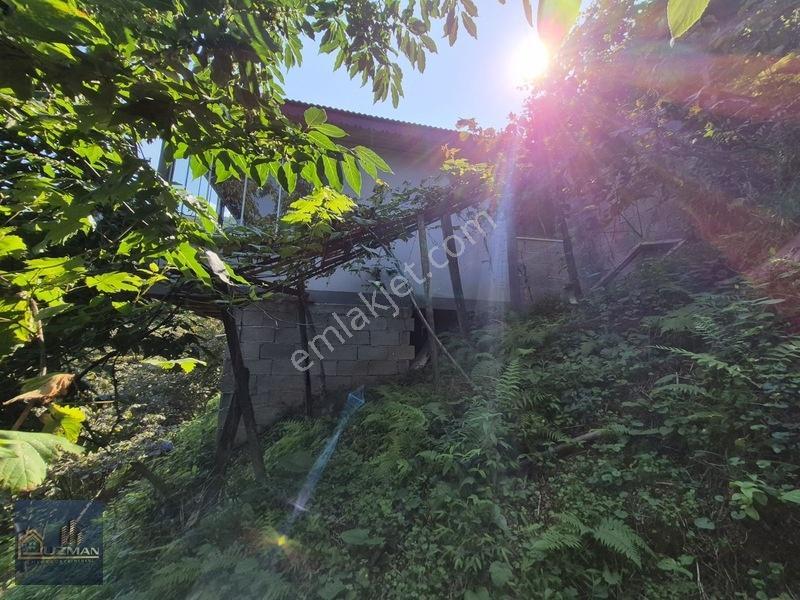 Uzman Emlak'tan Küçüklü 'de Satılık 5 Dönüm Fındık Bahçesi — fotoğraf 24