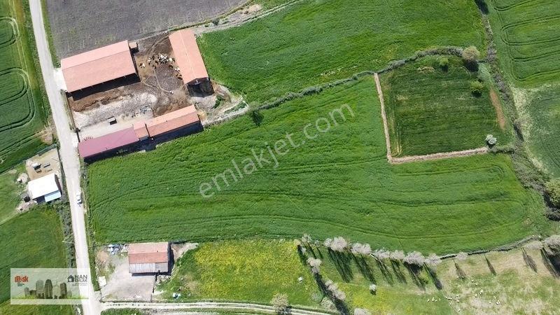 İmara 300 Metre Kapanmaz Deniz Manzaralı4100m2 Lapseki Şahinlide — fotoğraf 31