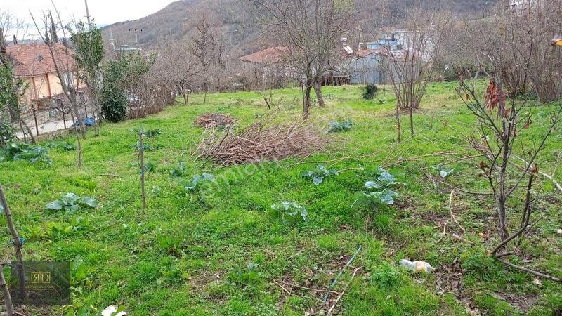 Rd'den Fırsat Yatırımlık: Sapanca Kartepe'de 4 Bungalovluk Arsa — fotoğraf 13