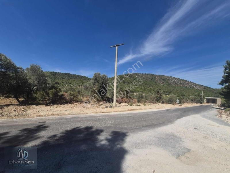 Acillll 2 Kupon Tarla Tek Fiyat — fotoğraf 8