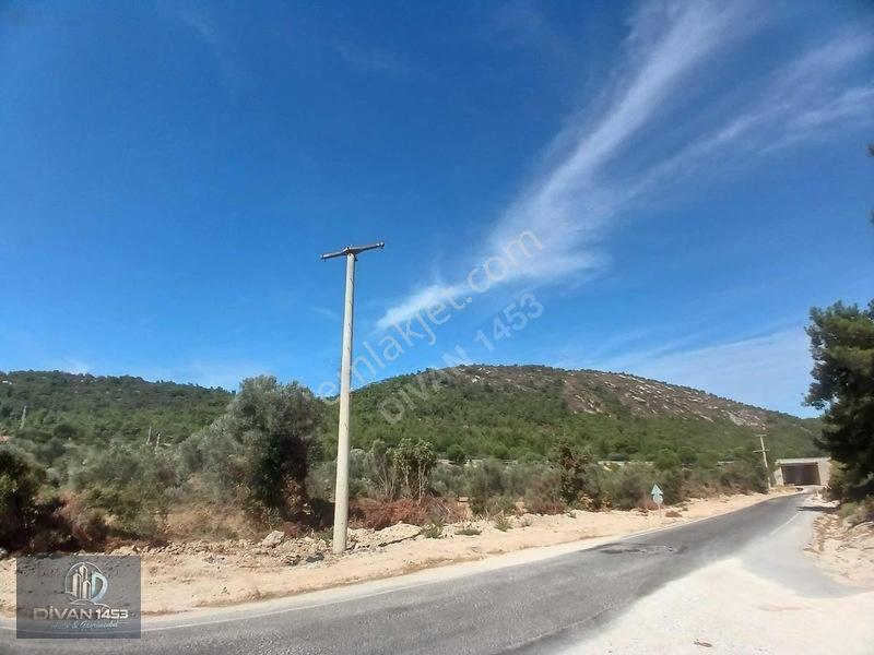 Acillll 2 Kupon Tarla Tek Fiyat — fotoğraf 10