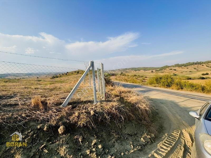 Boran Gayrimenkul Den Satılık Arazi — fotoğraf 7