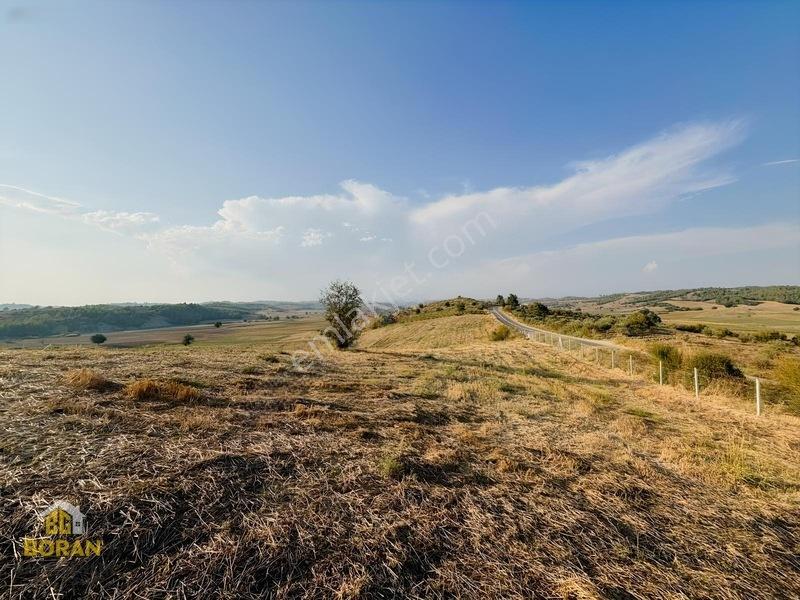 Boran Gayrimenkul Den Satılık Arazi — fotoğraf 8