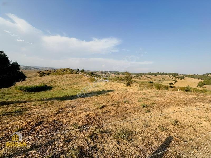 Boran Gayrimenkul Den Satılık Arazi — fotoğraf 10