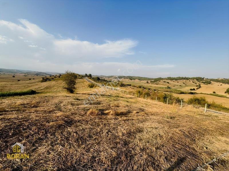 Boran Gayrimenkul Den Satılık Arazi — fotoğraf 11