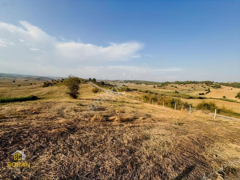 Boran Gayrimenkul Den Satılık Arazi — fotoğraf 12