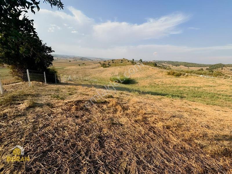 Boran Gayrimenkul Den Satılık Arazi — fotoğraf 16