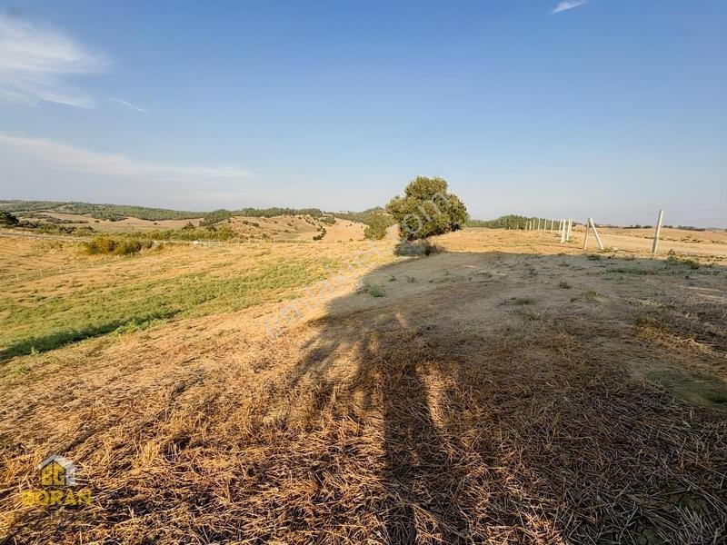 Boran Gayrimenkul Den Satılık Arazi — fotoğraf 17