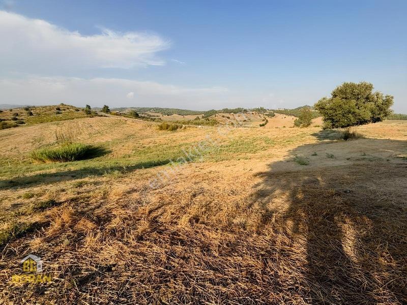 Boran Gayrimenkul Den Satılık Arazi — fotoğraf 18