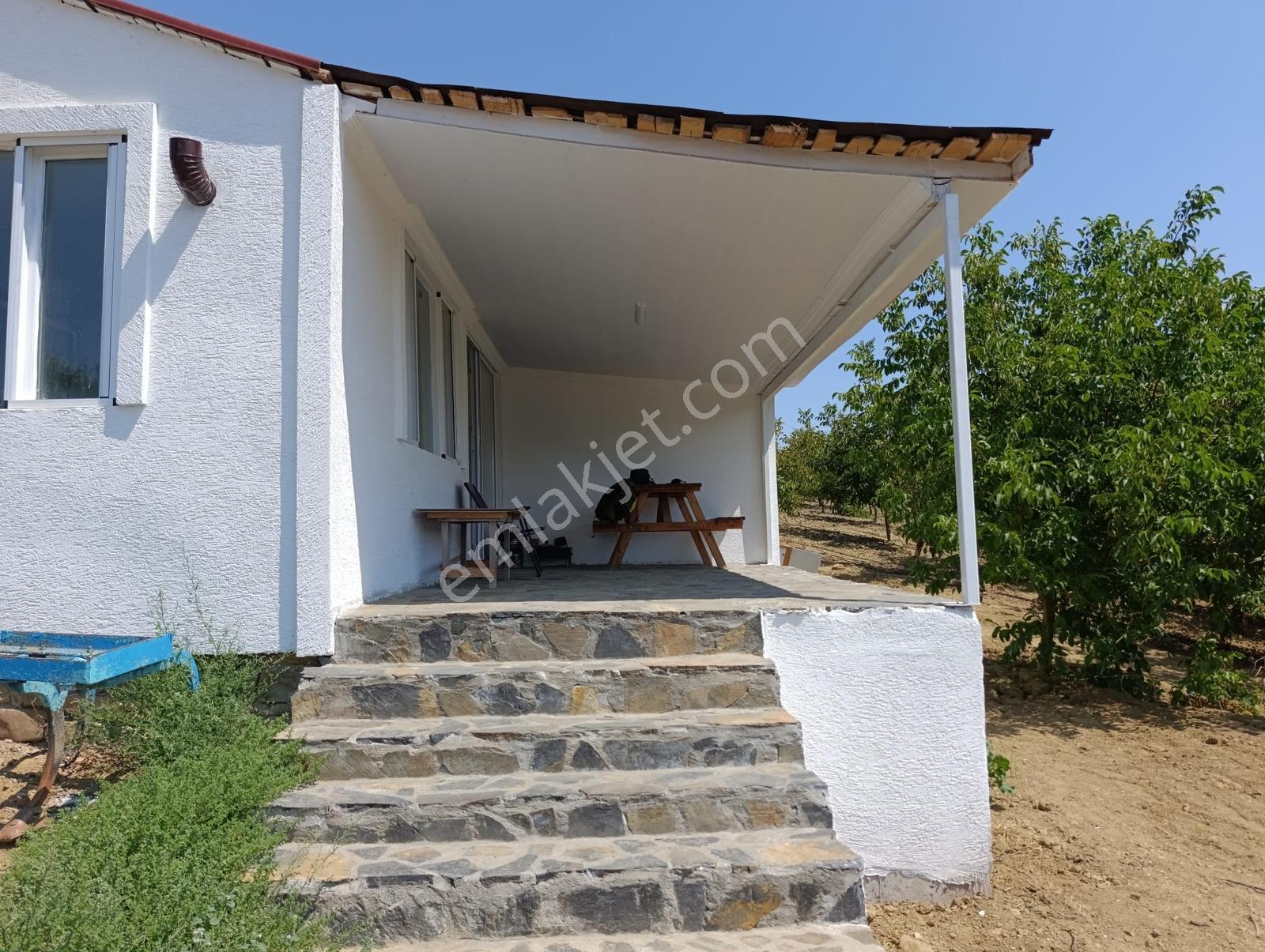 Tatarlı Köyünde Satılık 3967 Metrekare Satılık Bağ — fotoğraf 17