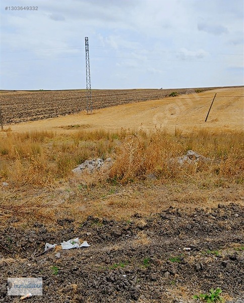 Bursadabul , Balıkesir Manyas'ta 77.000 M2 Verimli Tarım Arazisi — fotoğraf 4
