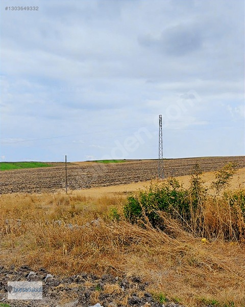 Bursadabul , Balıkesir Manyas'ta 77.000 M2 Verimli Tarım Arazisi — fotoğraf 5