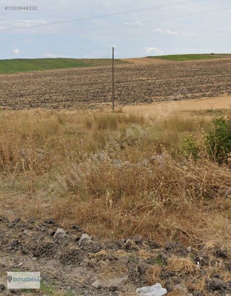Bursadabul , Balıkesir Manyas'ta 77.000 M2 Verimli Tarım Arazisi — fotoğraf 7