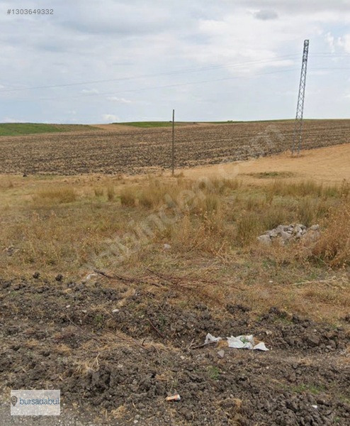 Bursadabul , Balıkesir Manyas'ta 77.000 M2 Verimli Tarım Arazisi — fotoğraf 8