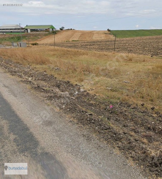 Bursadabul , Balıkesir Manyas'ta 77.000 M2 Verimli Tarım Arazisi — fotoğraf 9