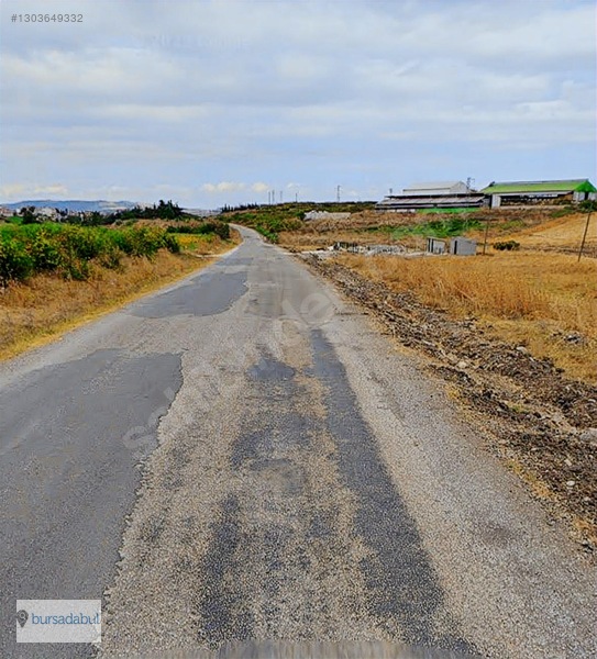 Bursadabul , Balıkesir Manyas'ta 77.000 M2 Verimli Tarım Arazisi — fotoğraf 10