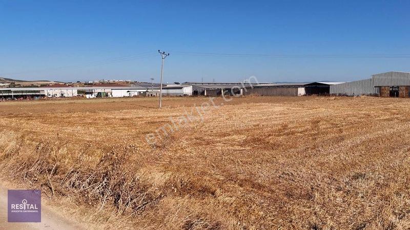 Seyran Da Kelepir Satılık Yol Üstü 8 Dönüm Otobana Yakın Arazi