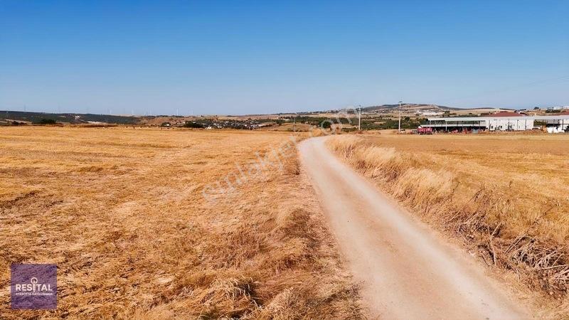 Seyran Da Kelepir Satılık Yol Üstü 8 Dönüm Otobana Yakın Arazi — fotoğraf 2