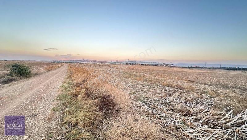 Seyran Da Kelepir Satılık Yol Üstü 8 Dönüm Otobana Yakın Arazi — fotoğraf 4