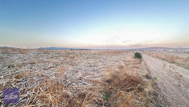Seyran Da Kelepir Satılık Yol Üstü 8 Dönüm Otobana Yakın Arazi — fotoğraf 5