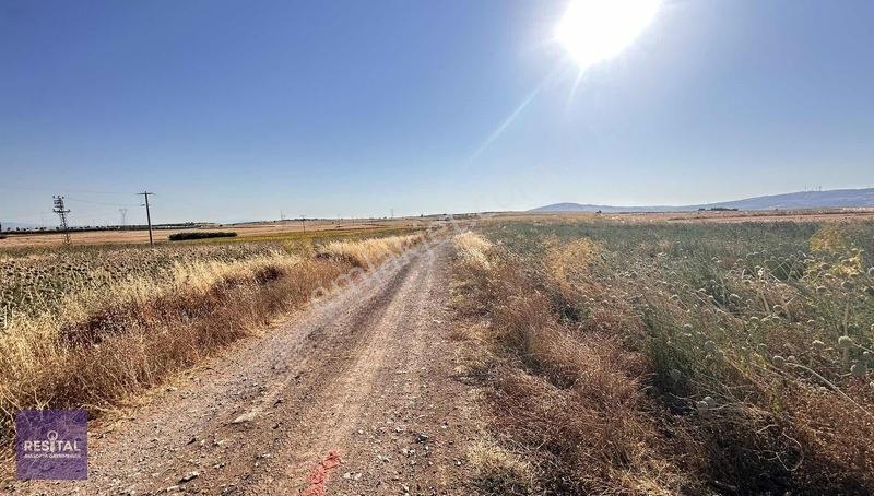 Seyran Da Kelepir Satılık Yol Üstü 8 Dönüm Otobana Yakın Arazi — fotoğraf 7