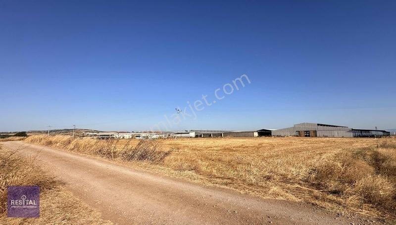 Seyran Da Kelepir Satılık Yol Üstü 8 Dönüm Otobana Yakın Arazi — fotoğraf 8