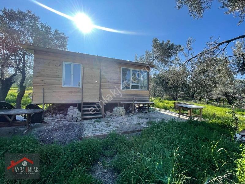 Fora Zeytin Arkası 2 Oda Evi Olan Hobi Bahçesi Tadında Zeytinlik