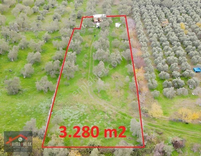 Fora Zeytin Arkası 2 Oda Evi Olan Hobi Bahçesi Tadında Zeytinlik — fotoğraf 2