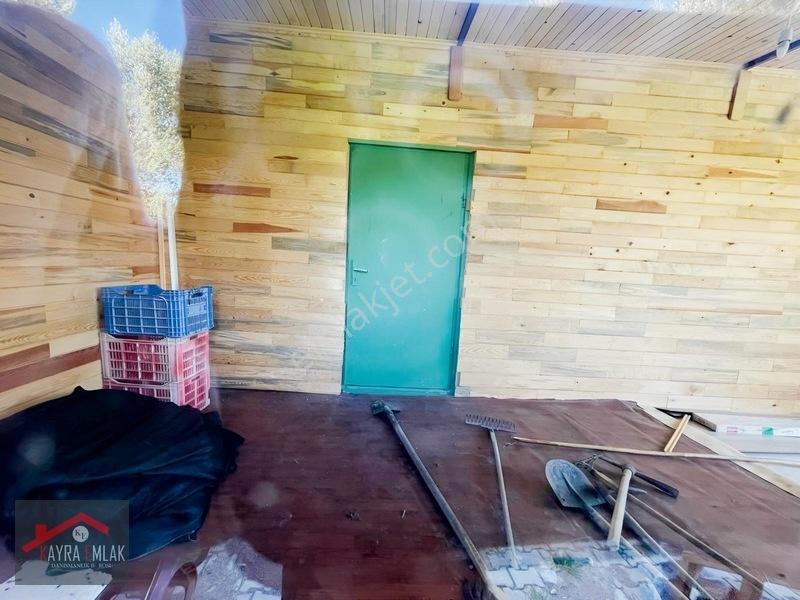 Fora Zeytin Arkası 2 Oda Evi Olan Hobi Bahçesi Tadında Zeytinlik — fotoğraf 15