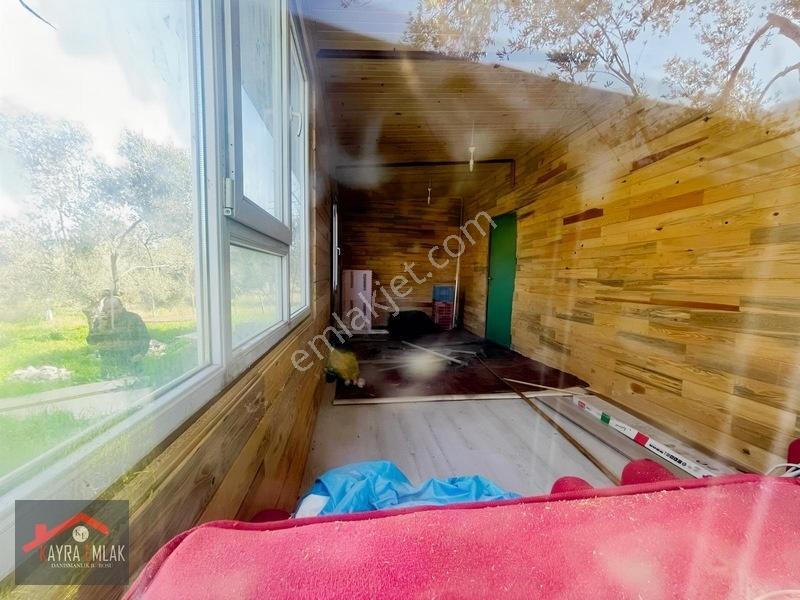 Fora Zeytin Arkası 2 Oda Evi Olan Hobi Bahçesi Tadında Zeytinlik — fotoğraf 16