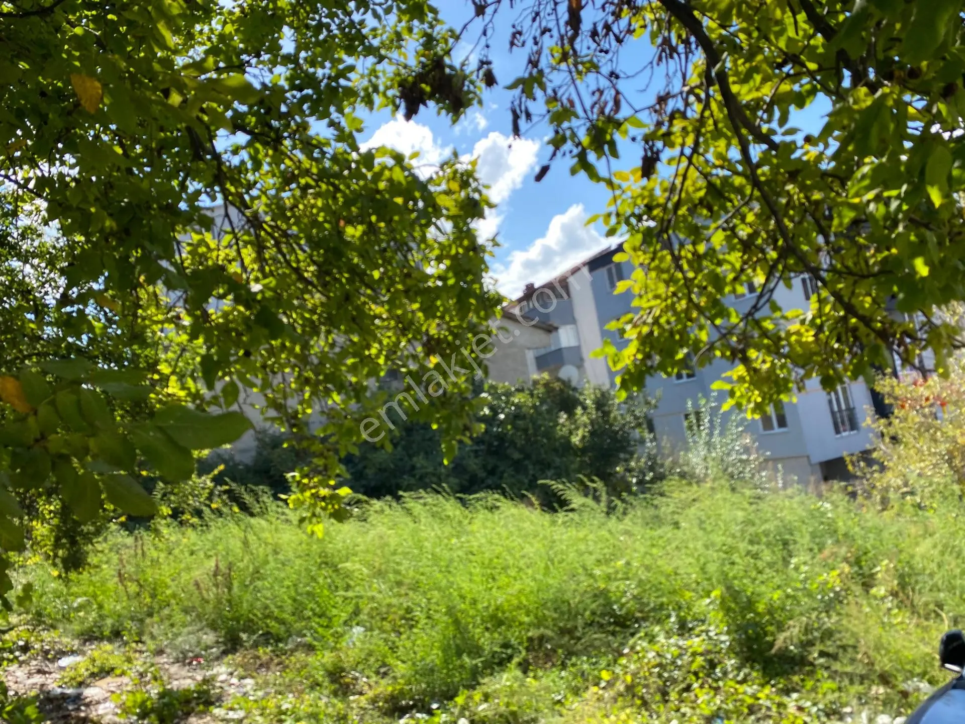 Köşe Arsa — fotoğraf 3