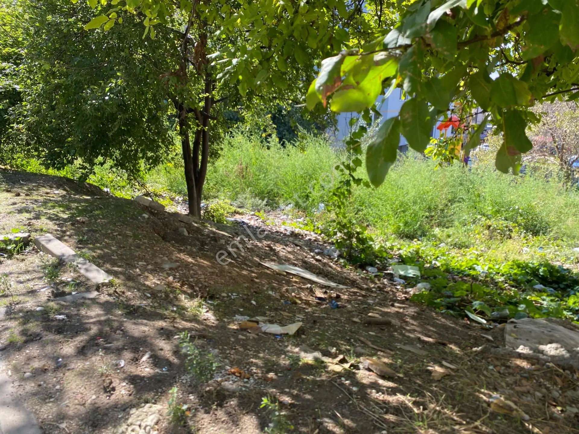 Köşe Arsa — fotoğraf 4