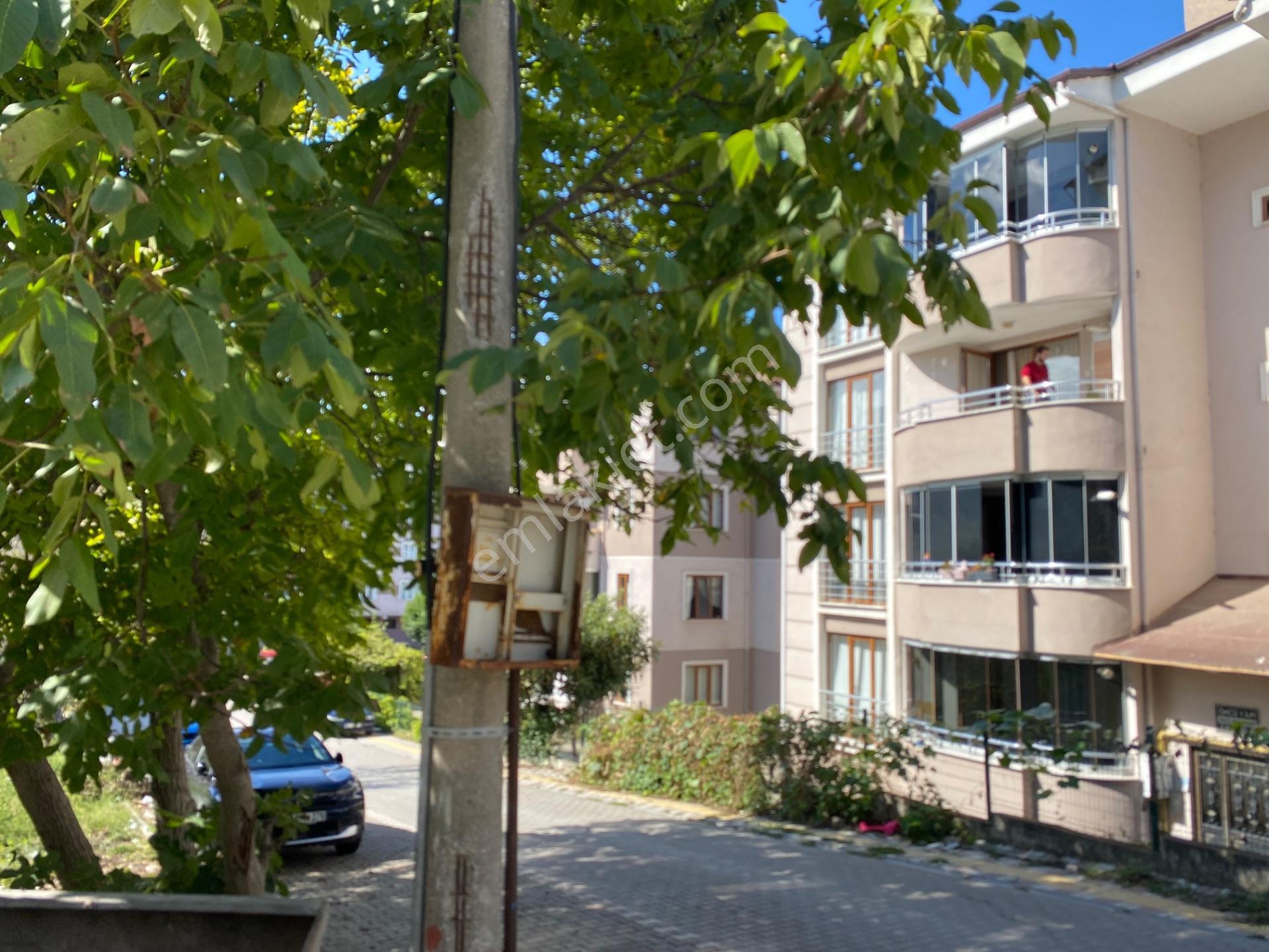 Köşe Arsa — fotoğraf 8