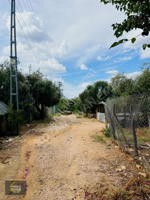Kozan Divan Emlak'tan Aslanpaşa'da 4 Kata İmarlı Geniş Arsa — fotoğraf 6