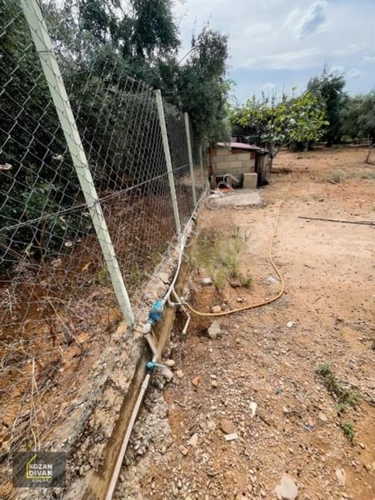 Kozan Divan Emlak'tan Aslanpaşa'da 4 Kata İmarlı Geniş Arsa — fotoğraf 8