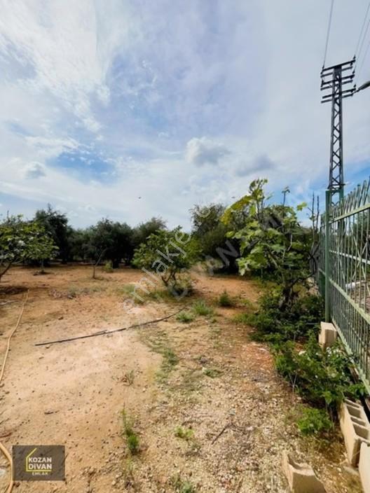 Kozan Divan Emlak'tan Aslanpaşa'da 4 Kata İmarlı Geniş Arsa — fotoğraf 9