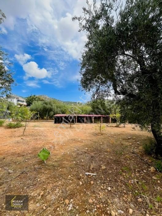 Kozan Divan Emlak'tan Aslanpaşa'da 4 Kata İmarlı Geniş Arsa — fotoğraf 10